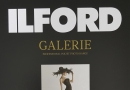 [NEW]GALERIE Fine Ar